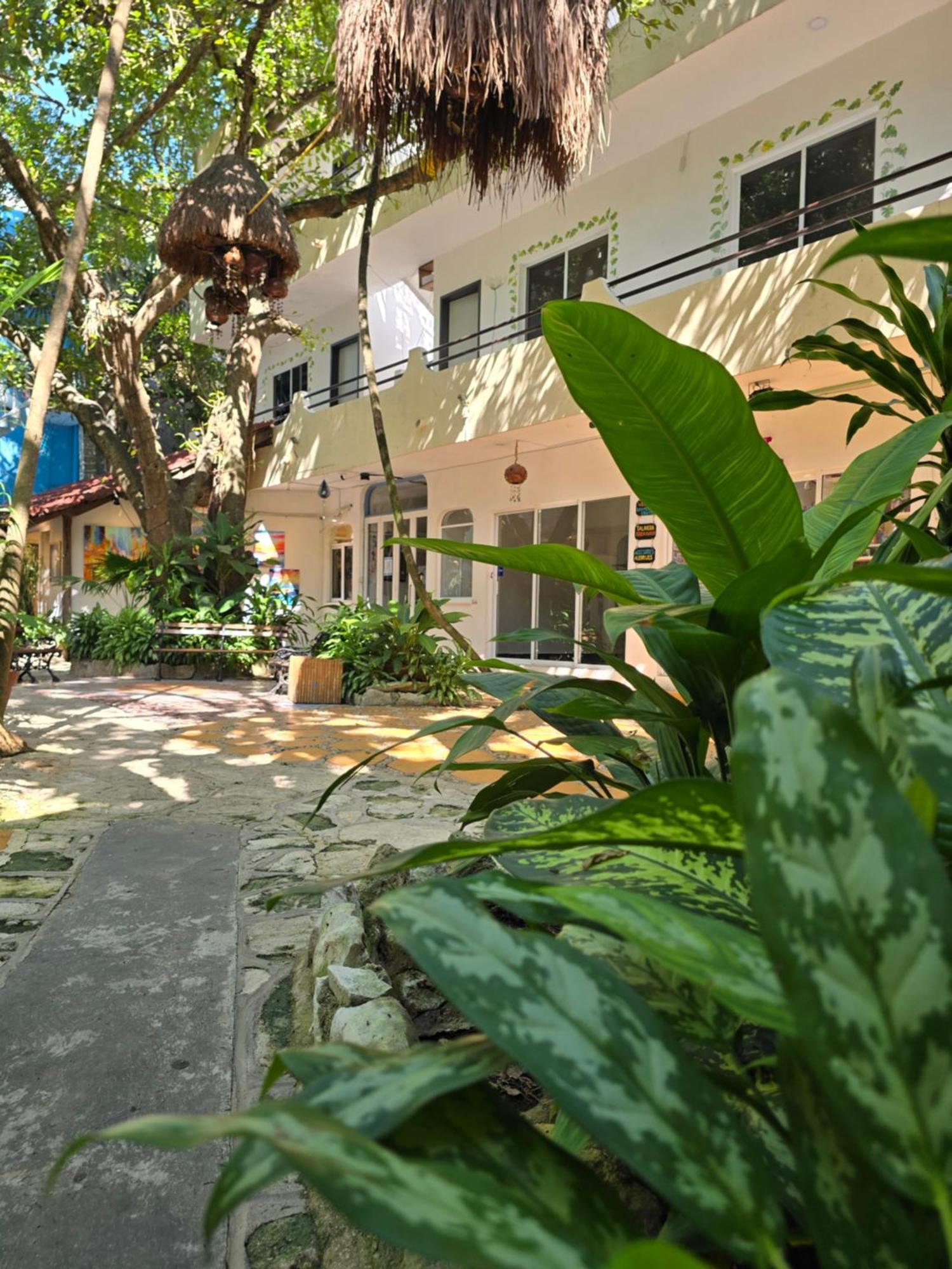 Hotel Ha Garden Gallery - 5Th Avenue Playa del Carmen Luaran gambar