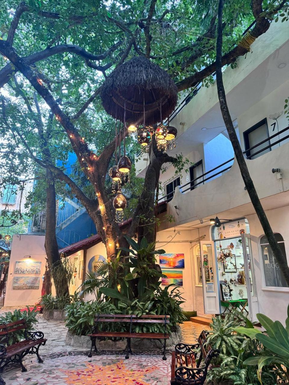 Hotel Ha Garden Gallery - 5Th Avenue Playa del Carmen Luaran gambar