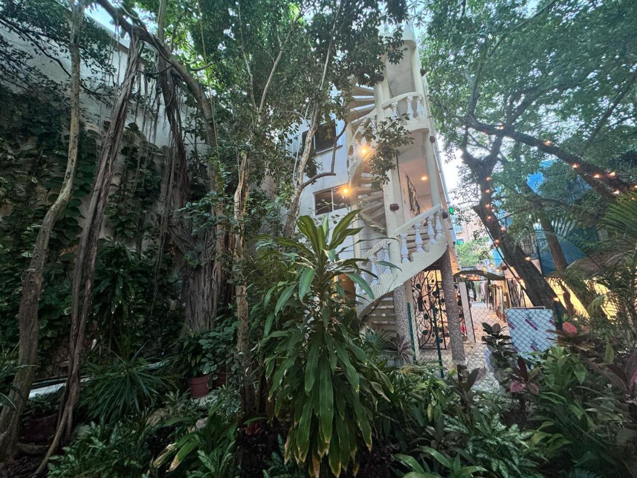 Hotel Ha Garden Gallery - 5Th Avenue Playa del Carmen Luaran gambar