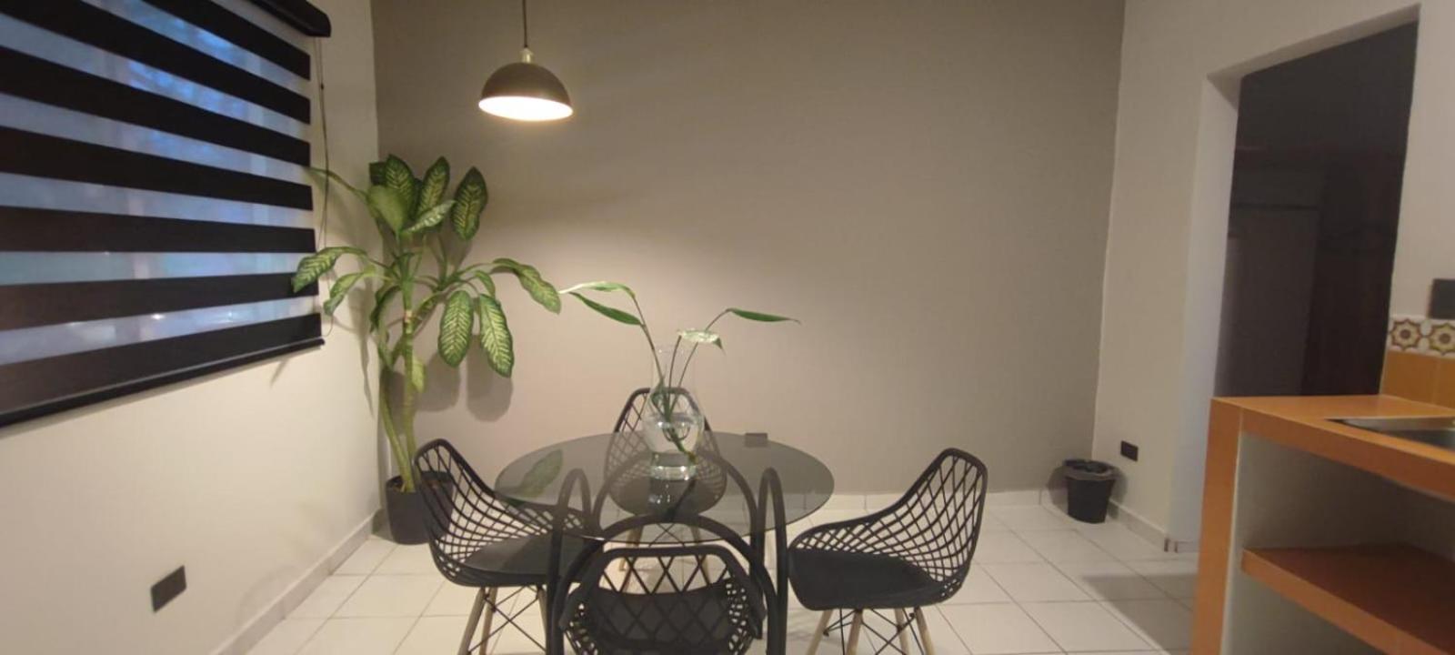 Hotel Ha Garden Gallery - 5Th Avenue Playa del Carmen Luaran gambar