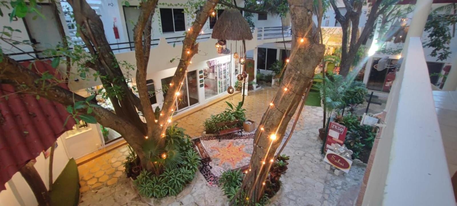Hotel Ha Garden Gallery - 5Th Avenue Playa del Carmen Luaran gambar