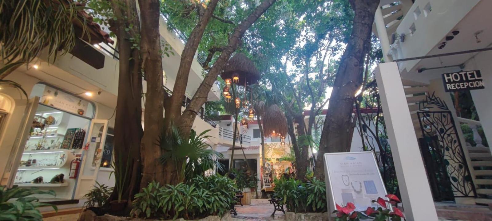Hotel Ha Garden Gallery - 5Th Avenue Playa del Carmen Luaran gambar