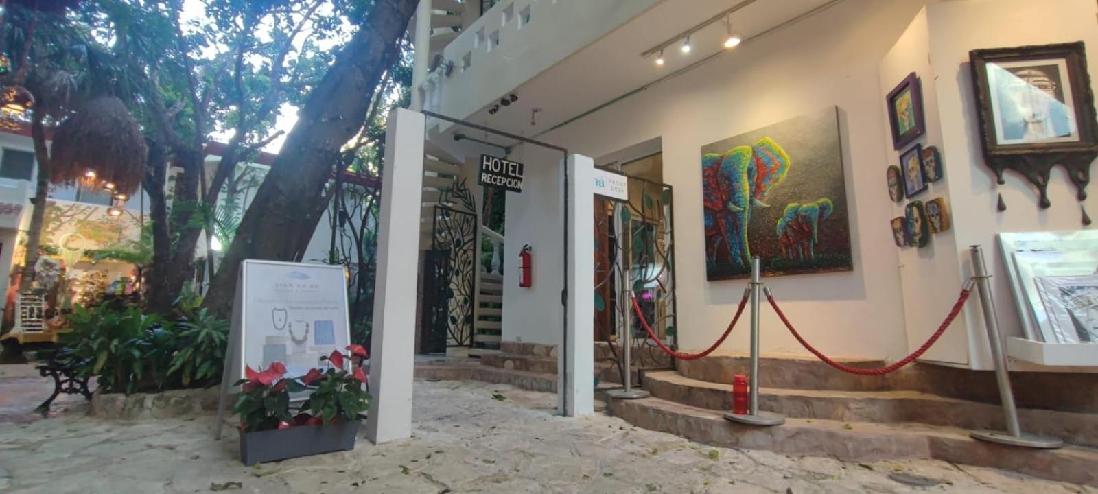 Hotel Ha Garden Gallery - 5Th Avenue Playa del Carmen Luaran gambar